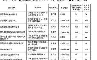 关于危险品运输挂靠经营的定义的信息